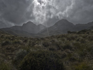 20170117 143911 new zealand