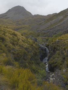 20170117 144324 new zealand