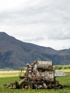 20170119 150213 new zealand