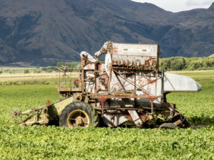 20170119 150222 new zealand