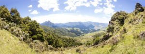20170122 - panorama -  new zealand hikurangi descent cliff