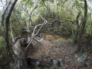 20170601 140325 surabaya sri lanka