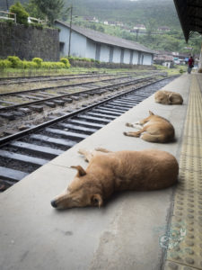 20170603 164342 surabaya sri lanka