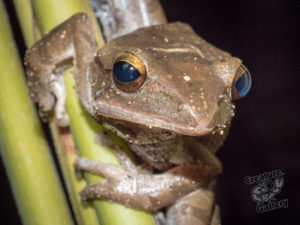 20170705 221911 lembongan and tulamben