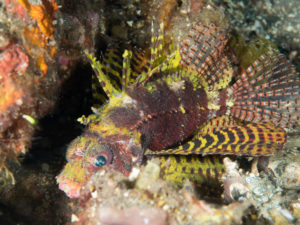 20170705 222613 lembongan and tulamben