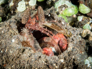 20170705 224537 lembongan and tulamben