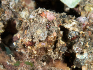 20170705 225620 lembongan and tulamben