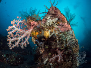 20170705 230551 lembongan and tulamben