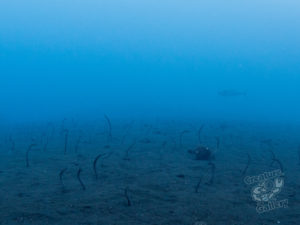 20170705 232533 lembongan and tulamben