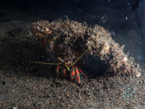 20170705 232843 lembongan and tulamben