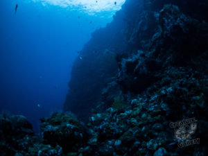 20170705 234209 lembongan and tulamben