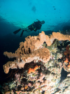 20170705 234444 lembongan and tulamben