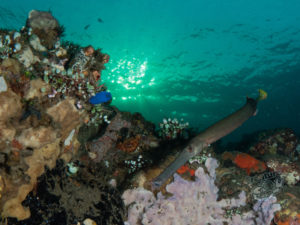 20170705 235030 lembongan and tulamben