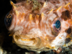 20170706 001353 lembongan and tulamben