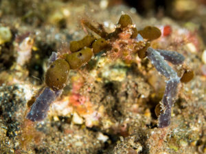 20170706 001926 lembongan and tulamben