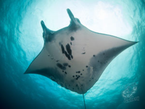 20170706 173407 lembongan and tulamben