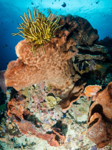 20170708 225737 lembongan and tulamben