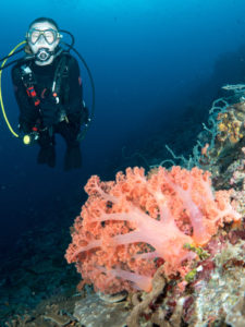 20170709 113224 lembongan and tulamben