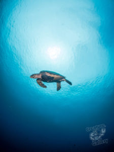 20170710 134606 lembongan and tulamben