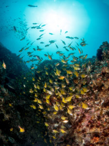 20171110 091438 south west rocks