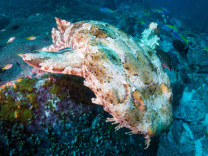 20171110 115746 south west rocks