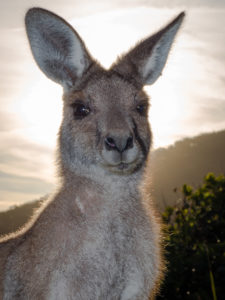 20171110 173316 south west rocks