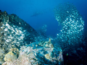 20171111 075040 south west rocks