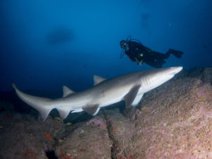 20171111 075656 south west rocks