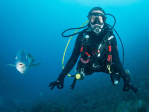 20171111 093906 south west rocks