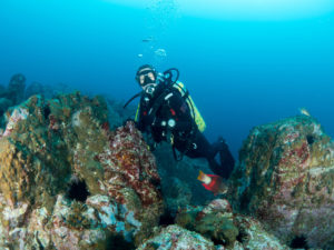 20171111 095945 south west rocks