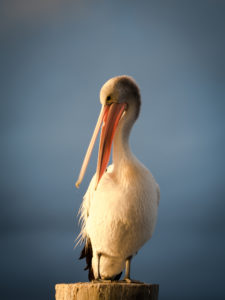 20171111 180221 south west rocks