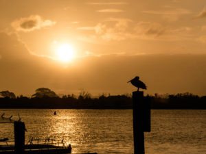 20171111 180441 south west rocks