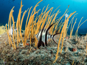 20171112 073419 south west rocks