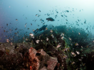 20171112 074307 south west rocks