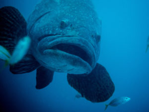 20171112 094622 south west rocks