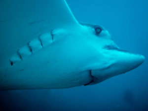 20171112 094715 south west rocks