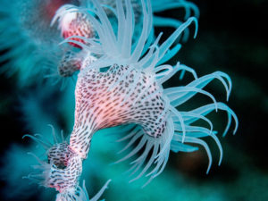 20171112 095449 south west rocks