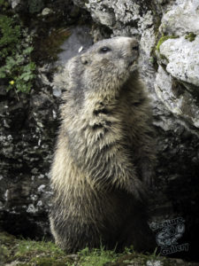 20180615 214511 london and austria