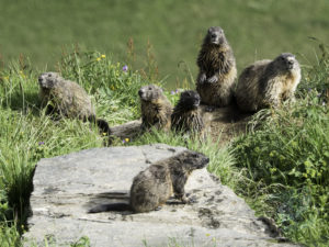 20180615 214620 london and austria