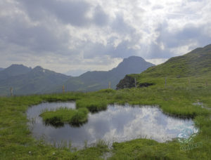 20180617 MtRaba london and austria