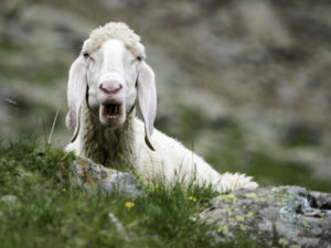 20180619 141958 london and austria