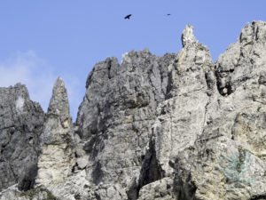 20180619 161614 london and austria