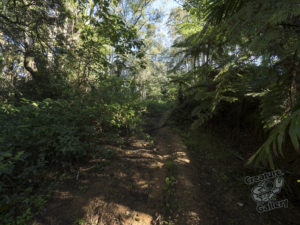 20190630 090309 byron bay coopers shoot
