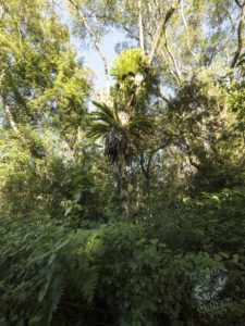 20190630 090315 byron bay coopers shoot