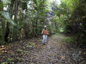20190630 092149 byron bay coopers shoot