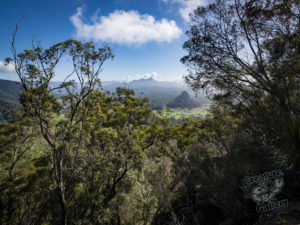 20190630 103615 byron bay coopers shoot