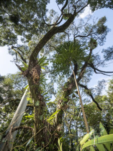 20190630 114159 byron bay coopers shoot