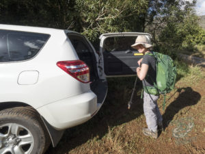 20190630 131950 byron bay coopers shoot