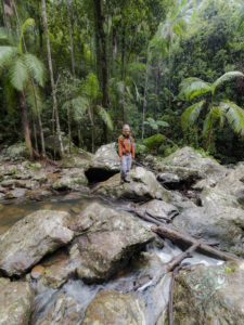 20190702 073028 byron bay coopers shoot