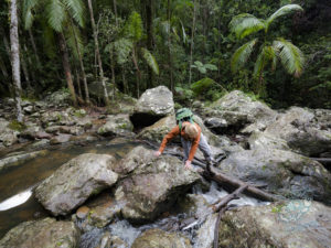 20190702 073100 byron bay coopers shoot